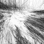 Vinter