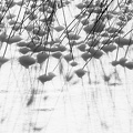 Vinter 2