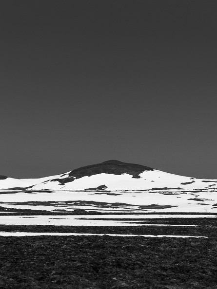 _MG_3084.jpg