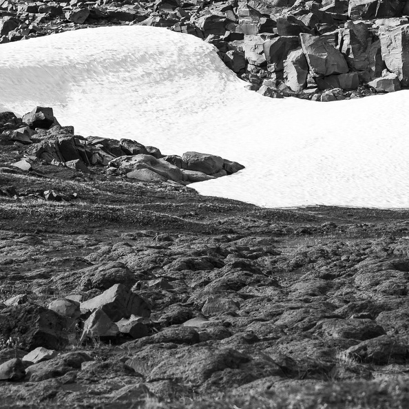 _MG_3146.jpg